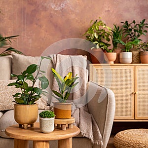 Stylish composition of creative spacious living room interior with plants, sofa, coffee table, rattan chest of drawers and stylish