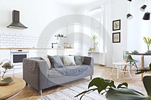 Stylish composition of creative spacious living room interior in scandinavian apartment with sofa, coffee table, plants, carpet.