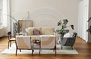 The stylish composition at living room interior with design beige sofa, glass coffee table, chairs, plants and elegant