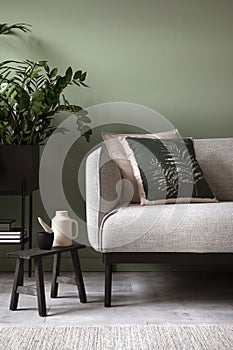 Stylish composition of living room interior. Modern sofa, design pillows, plants in metal pot and creative personal accessories.