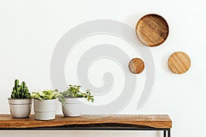 Stylish composition of living room interior with white wall, green plants in white hipster designed pots on the wooden.