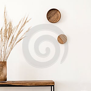 Stylish composition of living room interior with white wall, green plants in white hipster designed pots on the wooden.