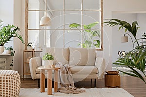 Stylish composition of modern living room with beige sofa, coffee table, pouf, plants and personal accessories. Home staging. photo