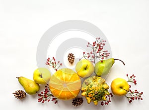 Stylish composition of pumpkins, fruits, berries, cones. Top view on white background. Autumn flat lay