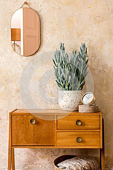 Stylish composition of retro living room interior with wooden vintage commode, gold pink mirror, plant, rattan basket.