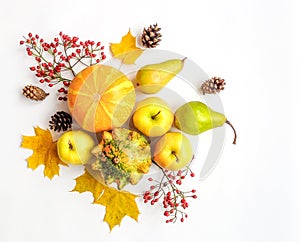 Stylish composition of vegetables, fruits, autumn leaves, berries. Top view on white background. Autumn flat lay