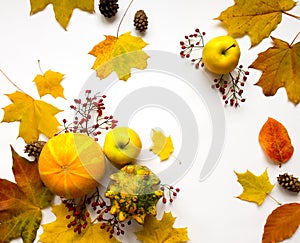 Stylish composition of vegetables, fruits, autumn leaves, berries. Top view on white background. Autumn flat lay