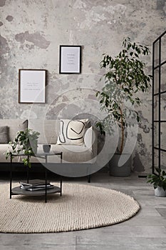 The stylish compostion at living room interior with design gray sofa, coffee table, plant, hanger, lamp and elegant personal photo