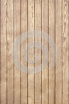 Stylish wainscoting of toned ash timber planks as background photo