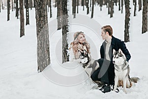 Stylish couple are playing with siberian husky in snowy forest. Winter wedding Artwork