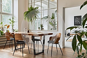 Stylish and cozy interior of dining room with design craft wooden table, chairs, plants, velvet sofa, poster map.