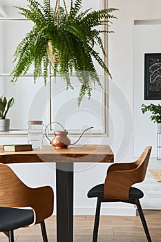 Stylish and cozy interior of dining room with design craft wooden table, chairs, plants, velvet sofa, poster map. Elegant.