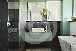 Stylish and creative minimalistic small bathroom interior design with marble walls with green panels, plants and beautiful.