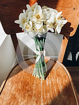 Stylish daffodils on rustic wooden chair in sunny light. Fresh yellow flowers bouquet on chair, countryside still life. Hello