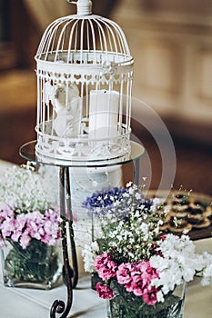 Stylish decorated white bird cage with blue and pink flowers, an