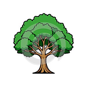 Stylish Chinkapin Tree Illustration with Bold Outline