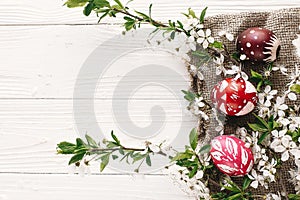 stylish Easter flat lay. painted eggs on rustic wooden background with spring flowers and willow branches. happy easter greeting