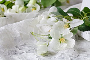 Stylish feminine space with white flowers of apple tree in vase. Styled minimalistic still life