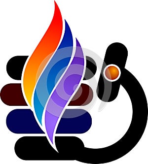 Stylish flame logo