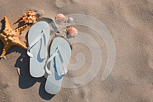 Stylish flip flops, starfish and sea shells on beach, flat lay. Space for text