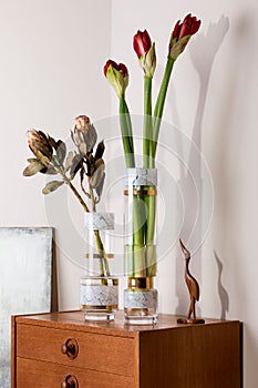 Stylish and floral composition of beautiful flowers in modern vases on the retro wooden commode with elegant accessories.