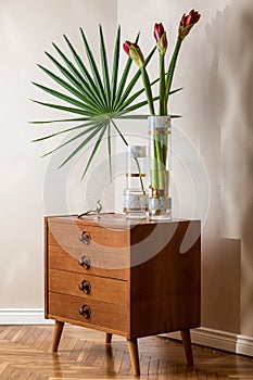 Stylish and floral composition of beautiful flowers in modern vases on the retro wooden commode with elegant accessories.