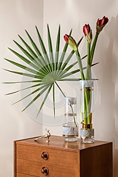 Stylish and floral composition of beautiful flowers in modern vases on the retro wooden commode with elegant accessories.