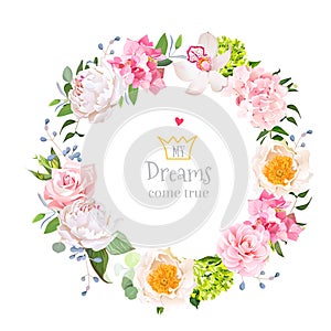 Stylish floral vector design round frame