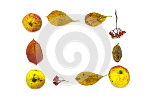 Stylish frame of colorful vegetables, fruits, autumn leaves and berries. Top view on white background.