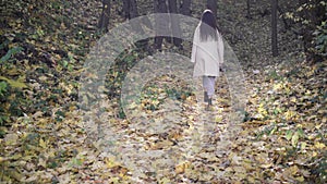 stylish girl in a coat in the autumn forest, a walk on fallen yellow leaves, a woman leaving along a trail, back view.