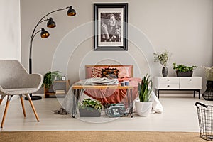 Stylish grey chair, black lamp, poster on the wall and king size bed with rust color bedding in bright bedroom of stylish flat