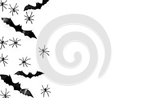 Stylish Halloween design. Bats and spiders on white background top view space for text frame