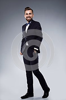 Stylish handsome man wearing a classic suit with bow-tie