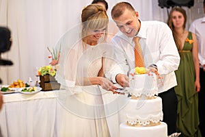 stylish happy bride and groom cutting and tasting fabulous wedding cake in a restaurant