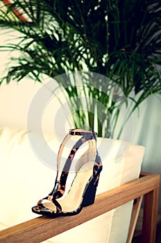 Stylish high heels shoes in animal print design, with high heels shoe in brown suede and with platform sole in wood