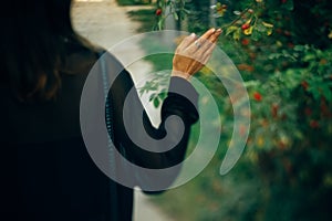 Stylish hipster girl walking in sunny light in park, atmospheric moment, back view. Fashionable woman holding branch at bush in