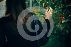 Stylish hipster girl walking in sunny light in park, atmospheric moment, back view. Fashionable woman holding branch at bush in