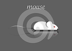 Stylish icon of a white mouse icone for background and print. photo