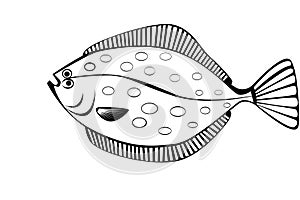 stylish illustration of flounder isolate
