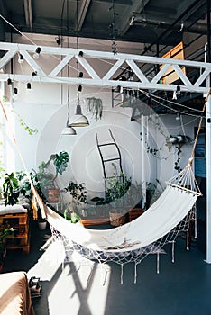Stylish interior with houseplants and a hammock