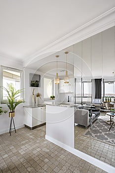 Stylish interior of open space white kitchen
