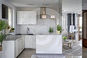 Stylish interior of open space white kitchen