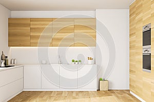 Stylish kitchen with white countertops