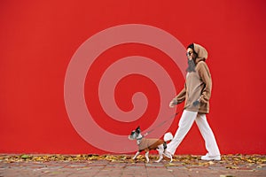Stylish lady walking a cute dog breed biewer terrier on a leash on a red wall background. Woman walks with a dog around the city.