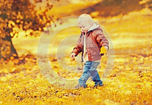 Stylish little child boy walking with yellow leaves in autumn park