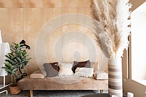 Stylish living  corner with velvet tan color sofa setting with soft pillows with plywood wall on the background / cozy interior