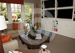 Stylish living room