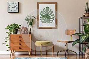 Stylish living room with design retro furnitures and plants.