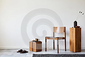 Stylish living room interior composition with creative design vintage chair, wooden cubes and elegant personal accessories.