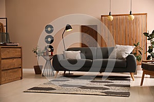 Stylish living room interior with dark sofa